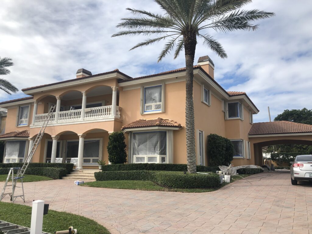 IMG 0952